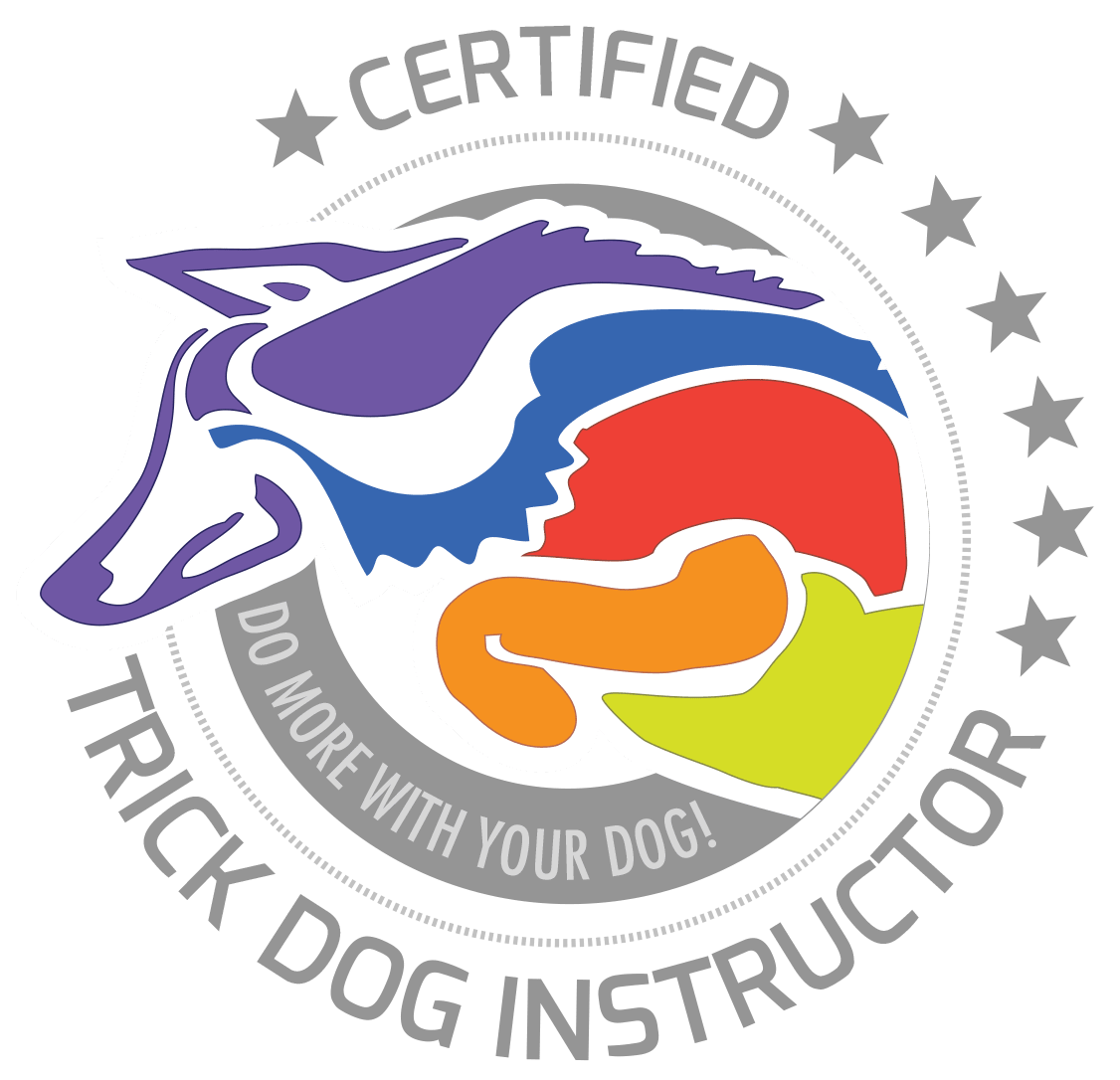 One Leg Up Canine Trick Dog Instructor
