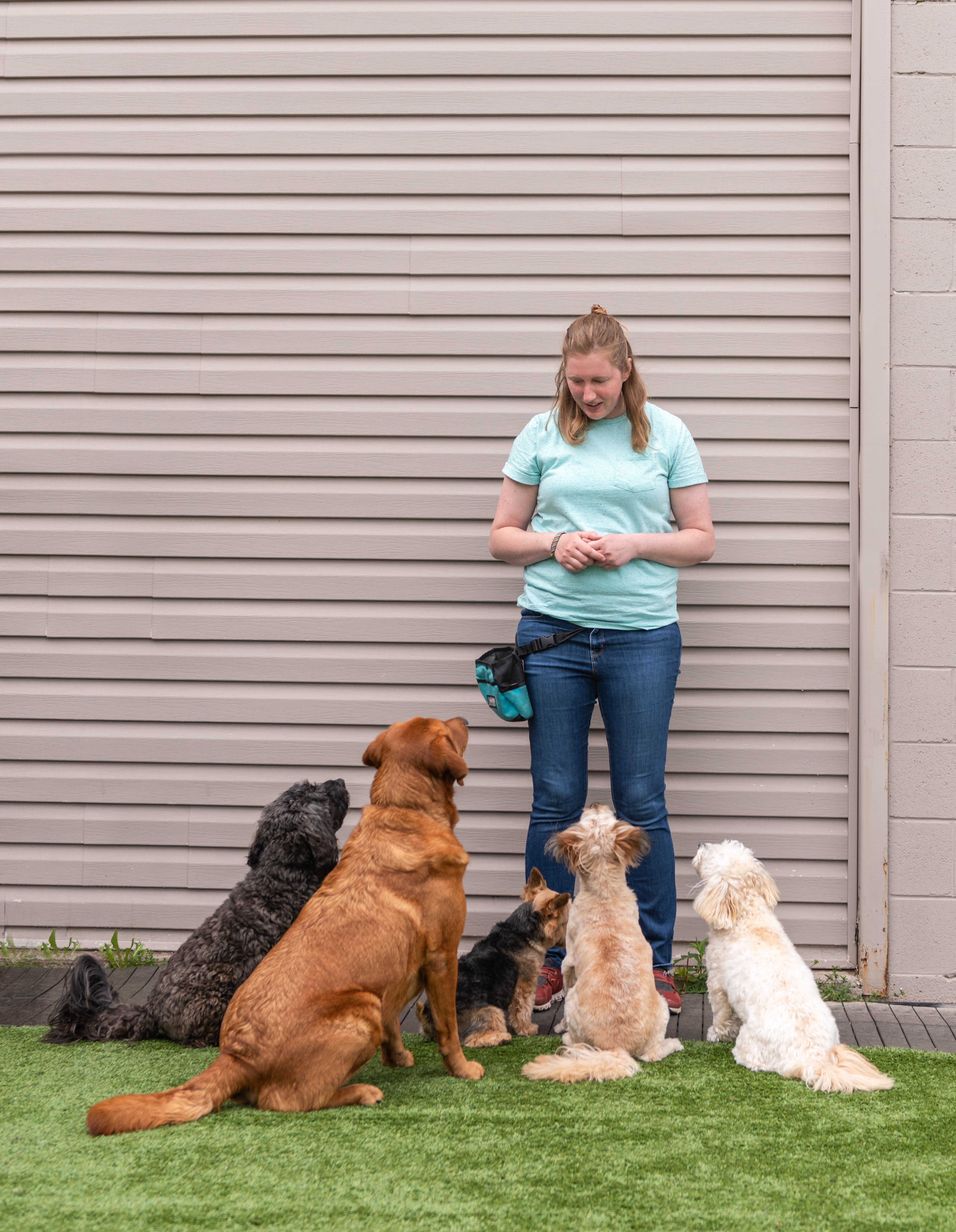 Reward-based dog training class in Guelph